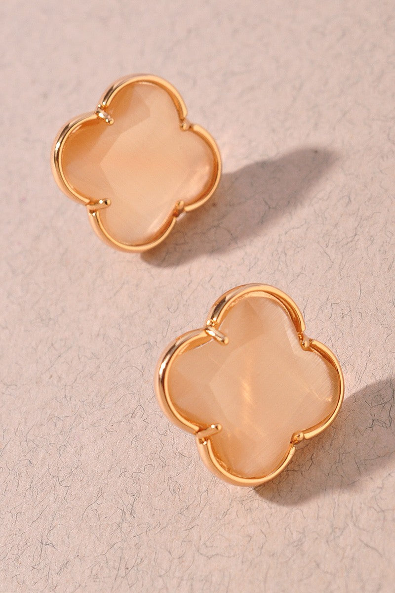 Candence Clover Stud