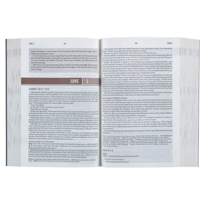 Blue Mountain Softcover NLT Everyday Devotional Bible for Men