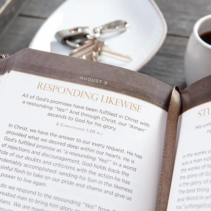 Jesus First For Men (Daily Devotional)
