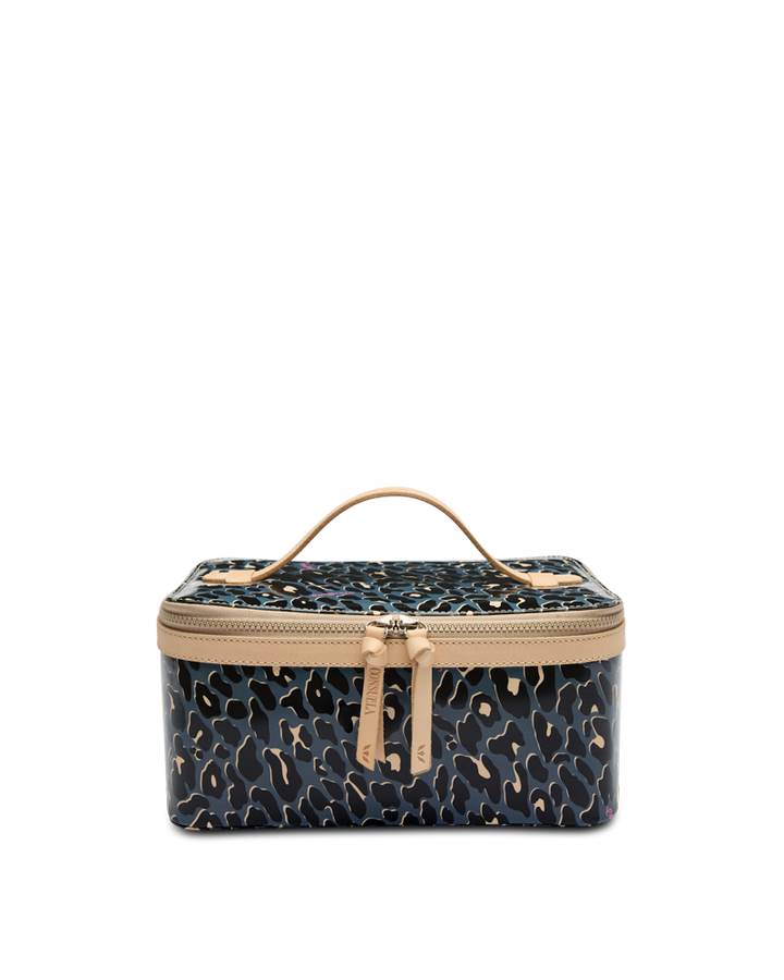 Danni Train Case