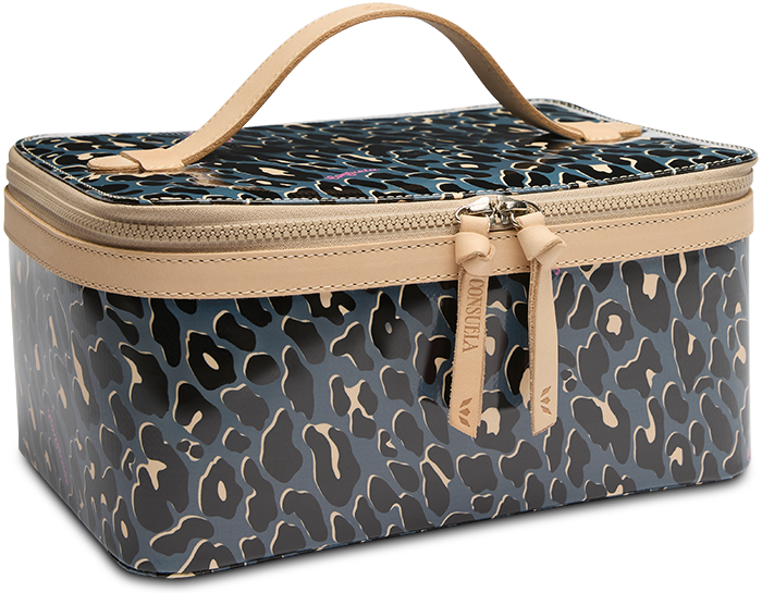 Danni Train Case