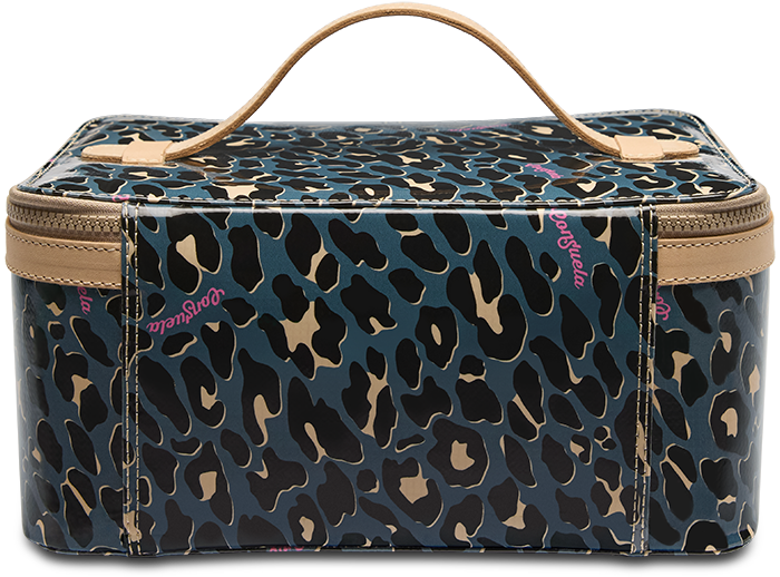 Danni Train Case