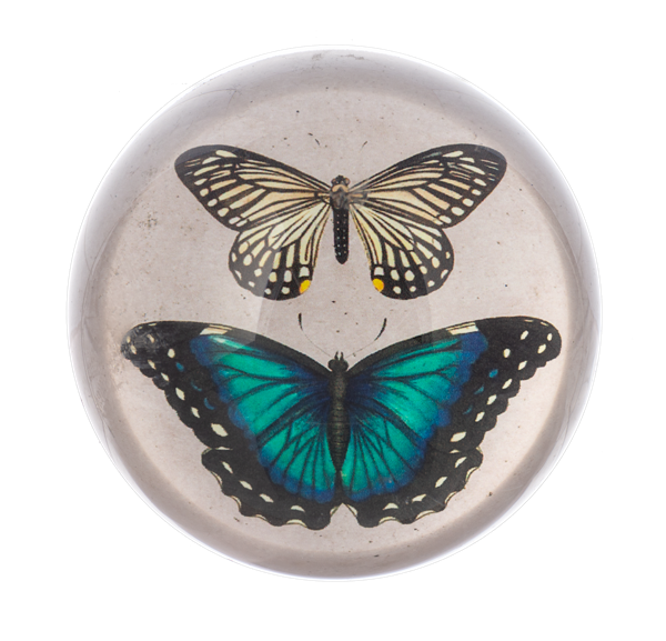 Butterfly Paperweight