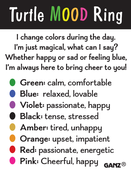 Turtle Mood Rings in a Basket