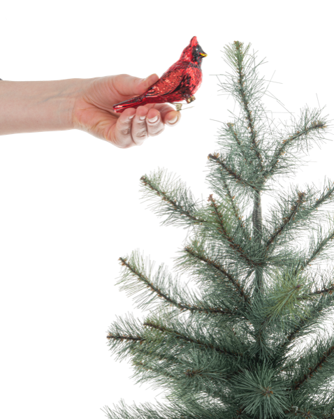 Cardinal Clip Ornament