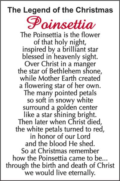 The Legend of the Christmas Poinsettia Charms